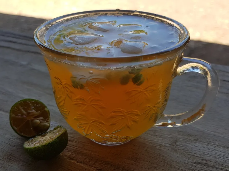 Hausgemachte Limonade